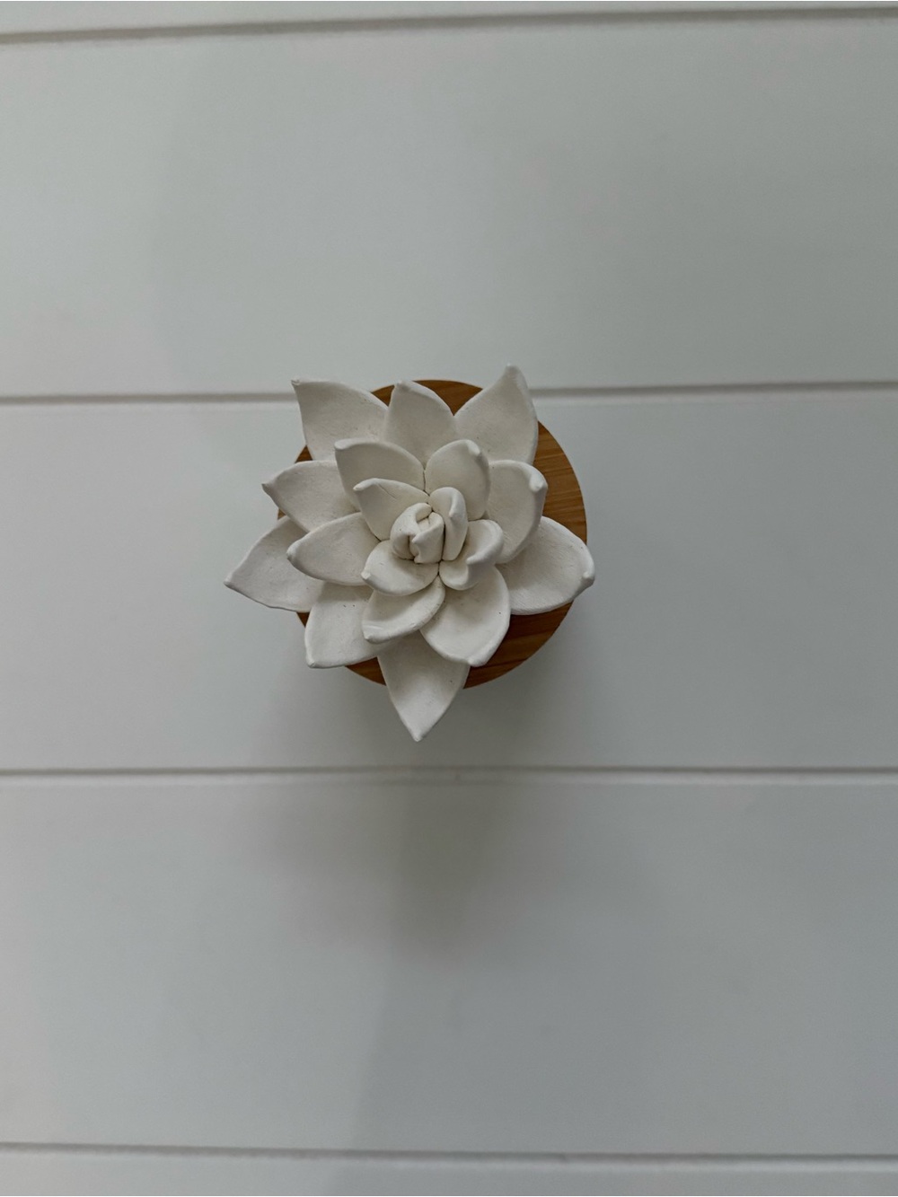 White Ceramic Succulent diffuser